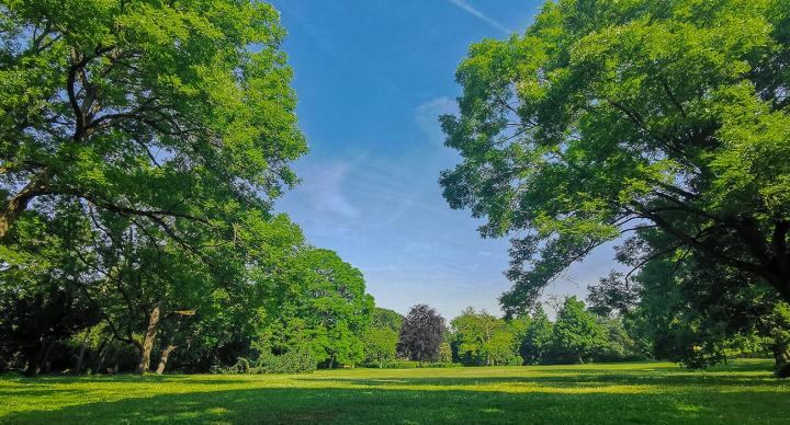 Hauptbühne im Schlosspark