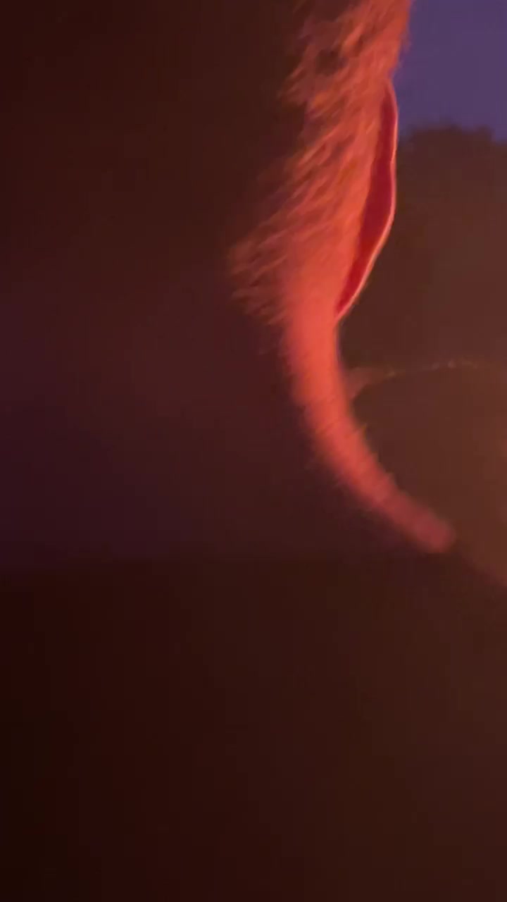 Computer Toys x Intermission